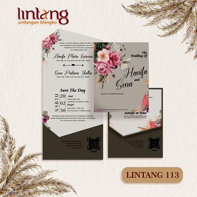 Lintang 113